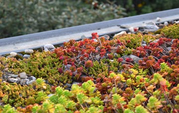 the cost of Craig Y Don green roof installation
