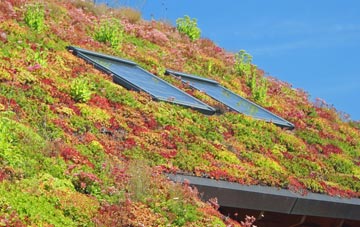 Craig Y Don living roof systems